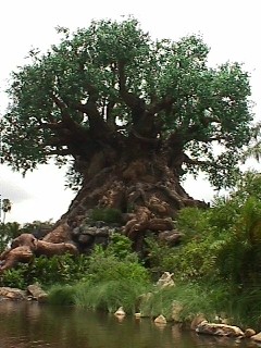 Tree of Life