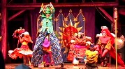 Festival of Fools